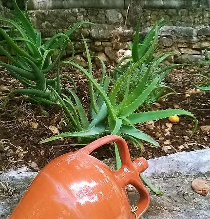 Holiday home Vintage House Agia Efimia